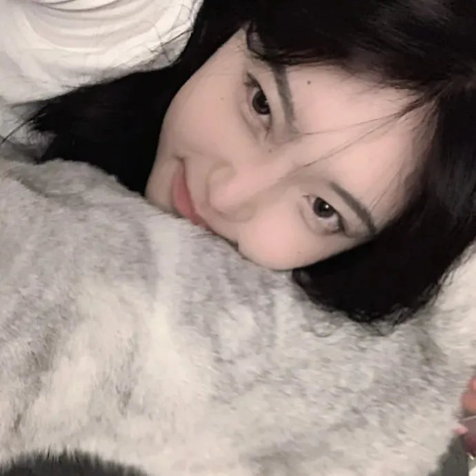 摄影师贝尔蒂与海豚零距离 在线观看